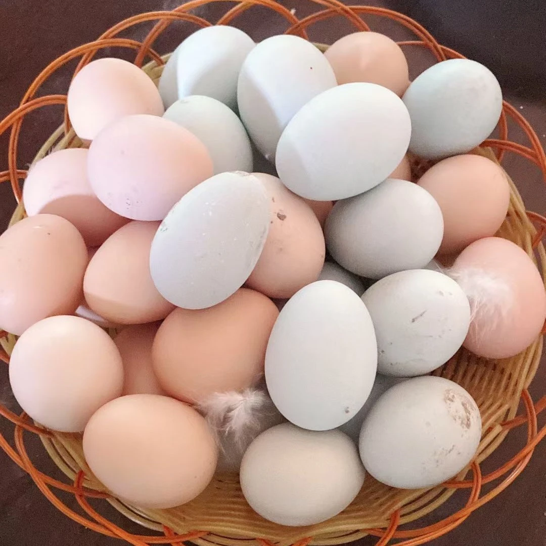 农家散养生态土鸡蛋山林谷物喂养新鲜健康营养丰富100枚礼盒装