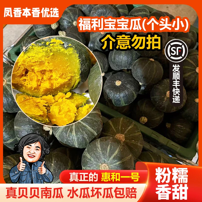 贝贝南瓜宝宝瓜【顺丰快递】凤香本香优选粉糯香甜正宗惠和一号南瓜