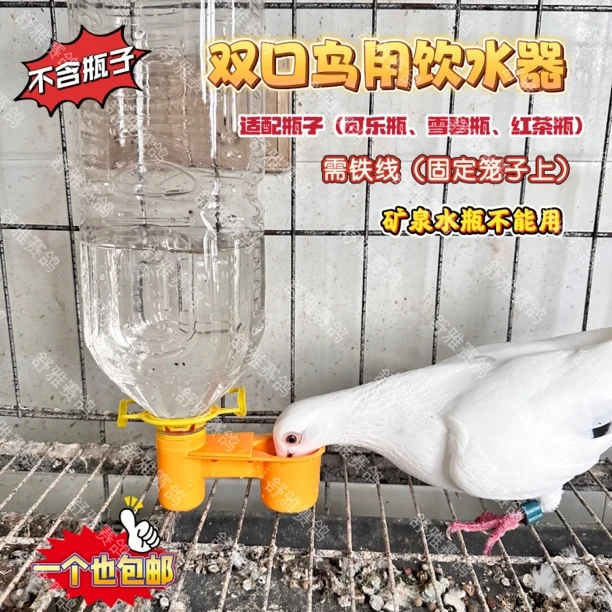 鸟用饮水器双口饮水器鸽子饮水器蓄水器笼养鸟类宠物饮水器