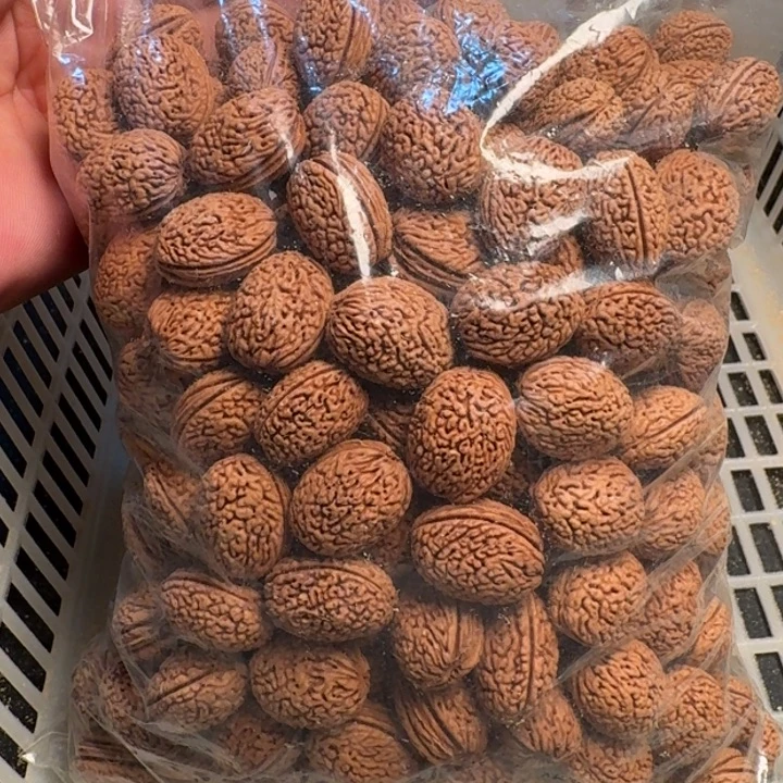 用***7手串桃核钱袋子散籽600粒