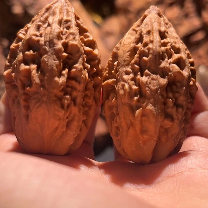 桃核把件九哥楸核5