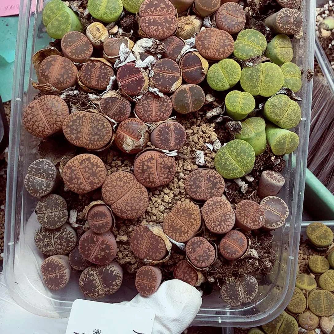 我们一起看电视的时间长得241