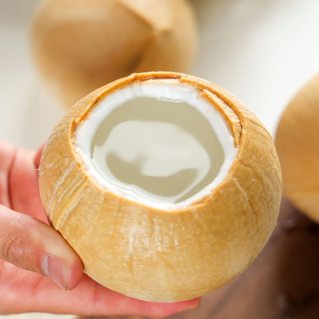 泰国丹嫩沙多老树椰皇【椰香奶甜】椰汁椰肉低卡天然新鲜健康顺丰