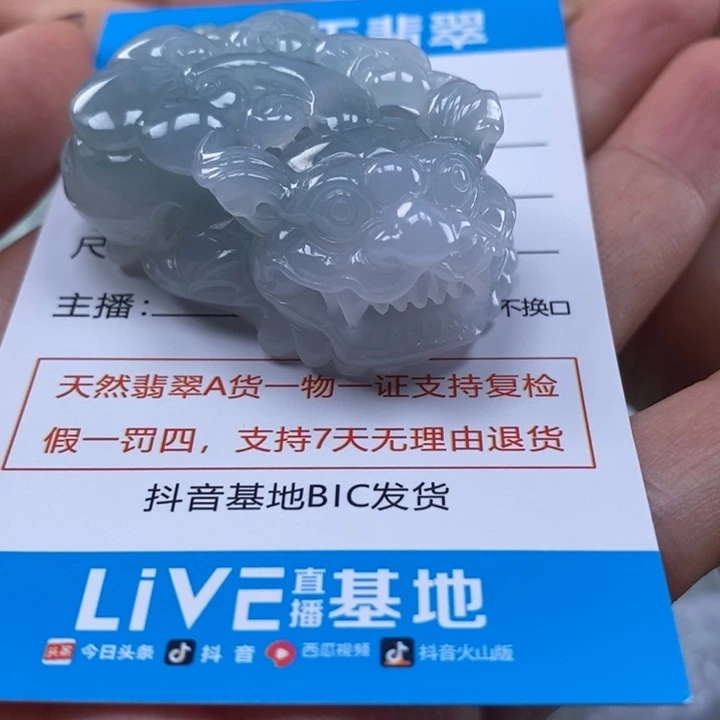 孤****翡翠未镶嵌颈饰多人貔貅