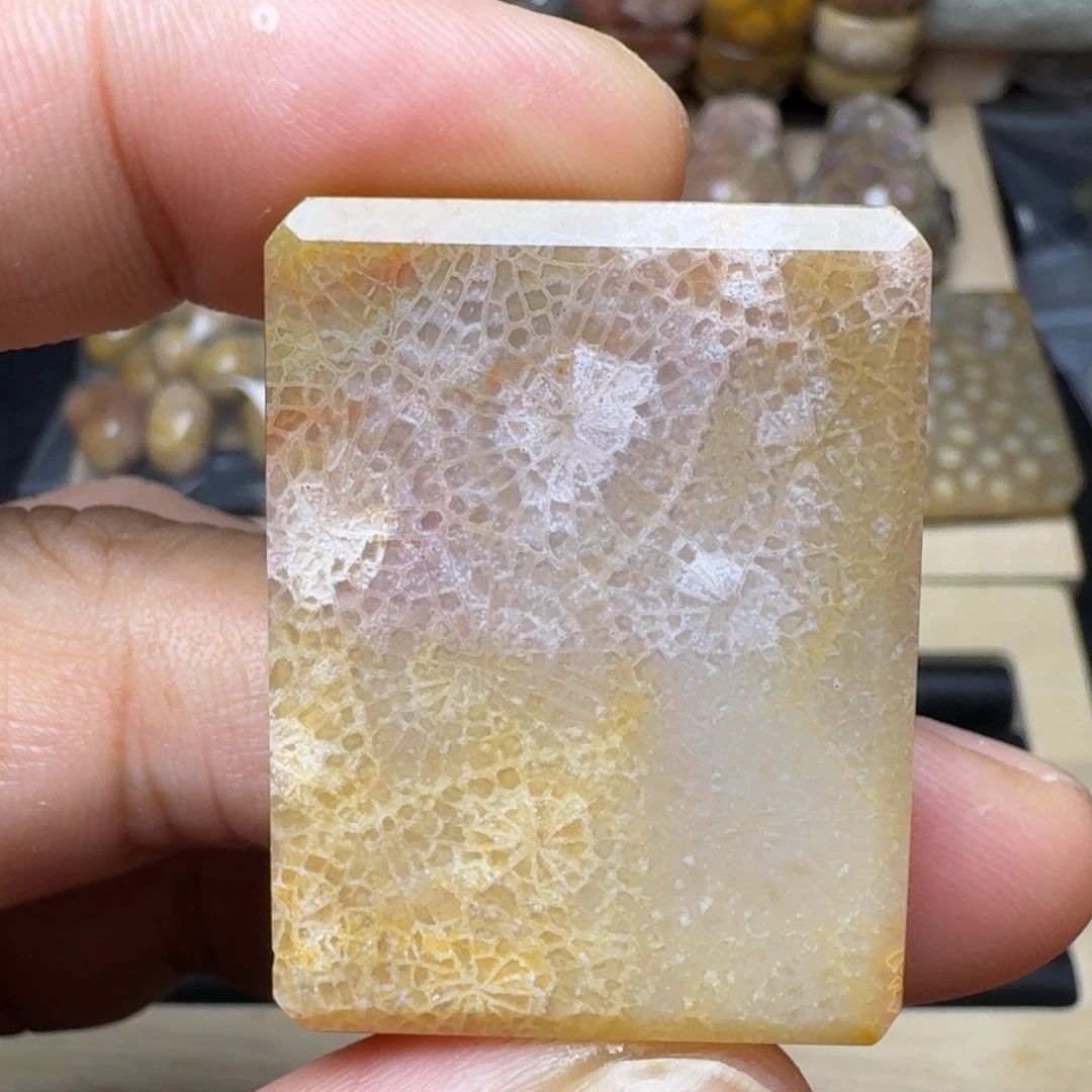 硅化珊瑚（珊瑚玉）未镶嵌纯天然色有机玉石保真色