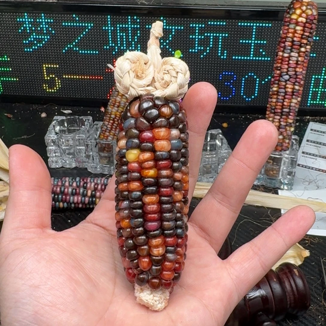 柏香籽/百香籽吊坠F****呆