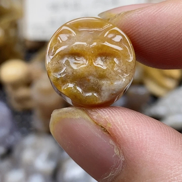 颈饰未镶嵌硅化珊瑚（珊瑚玉）小