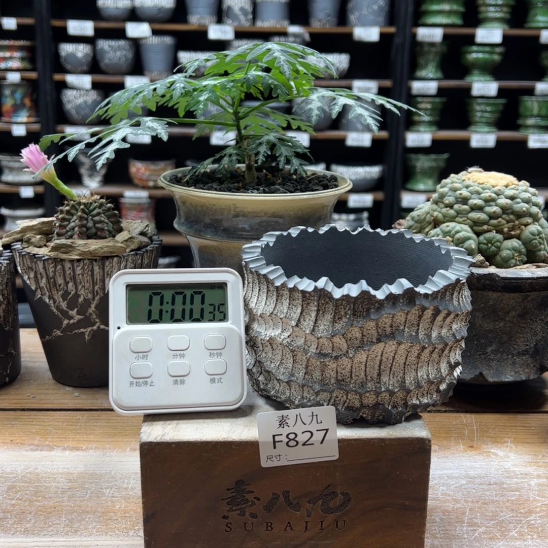 素八九陶瓷内口10.5高8半***?