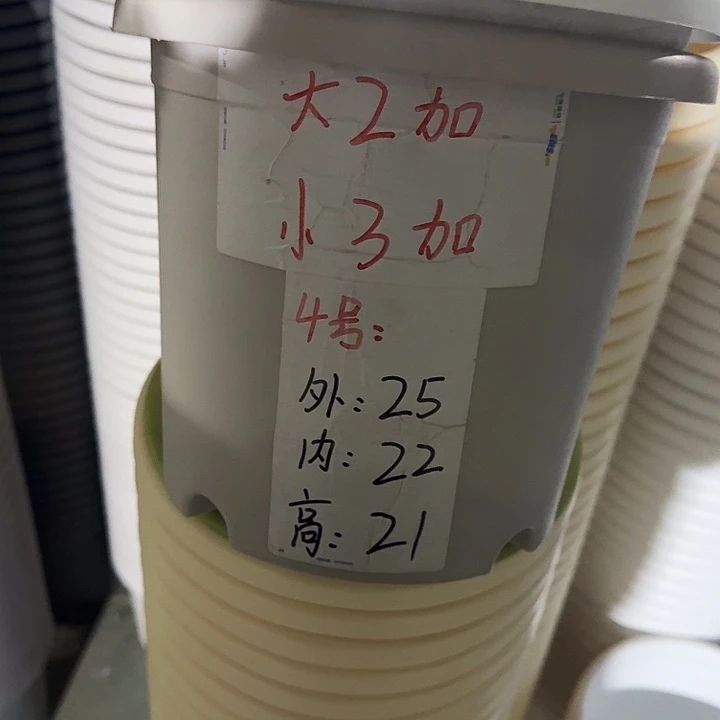 四季4号灰白无托10个特价