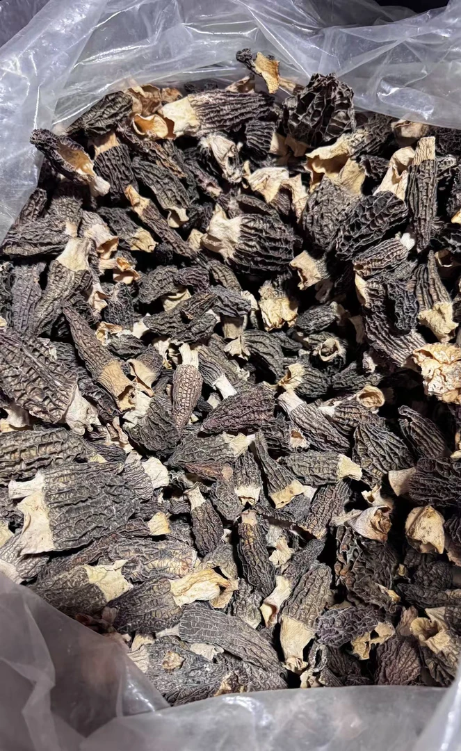 羊肚菌福利头茬小个不均匀野生通货煲汤菌菇500