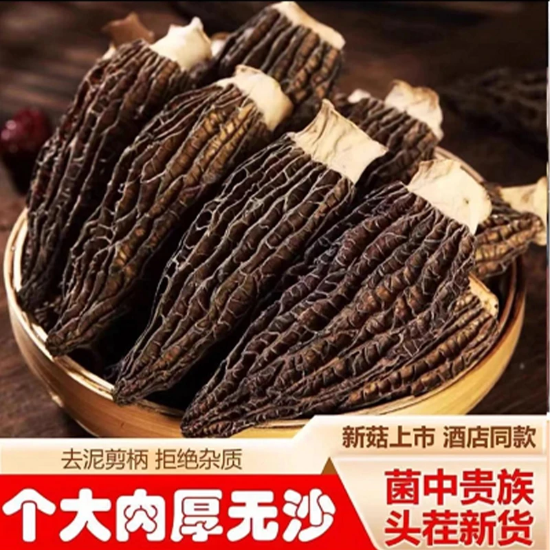 【高山原产】2025年头茬羊肚菌4-7cm产地直发高山种植