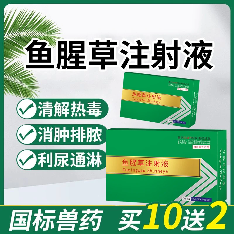 兽用鱼腥草注射液清热解孕畜消肿排脓利尿牛羊猪马催奶消炎针剂
