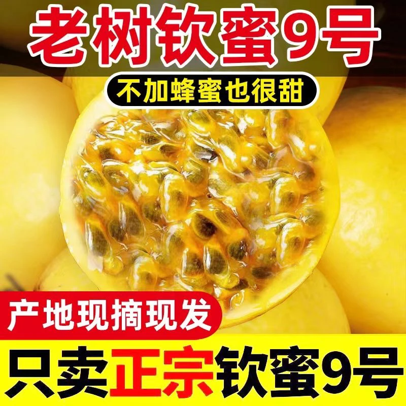 赣南正宗黄金钦蜜9号百香果新鲜饱满多汁香甜可口当季水果