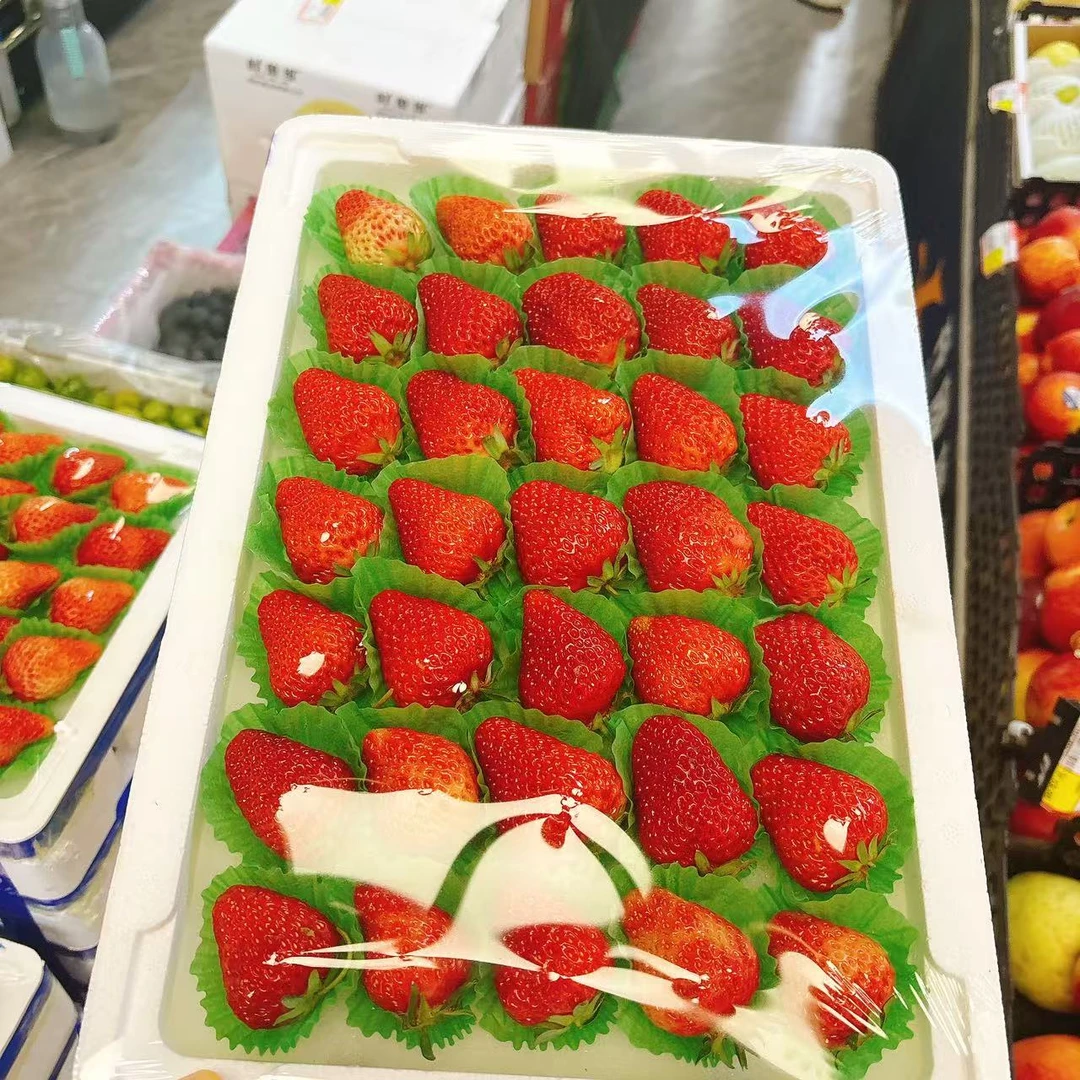 整箱丹东草莓900g