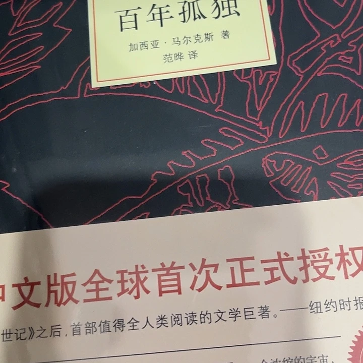 百年孤独十米一个