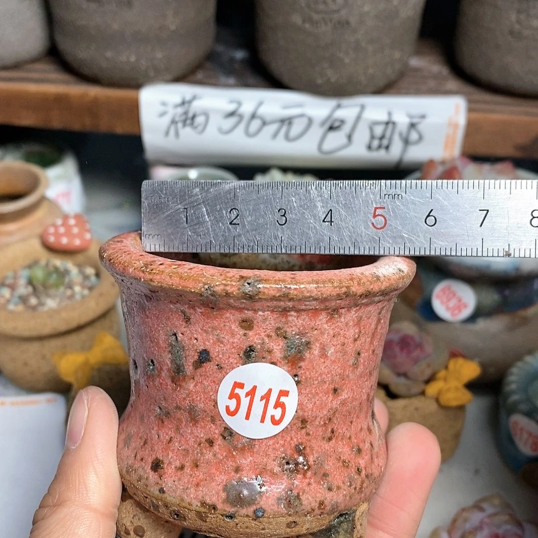 红陶拍5送一个小