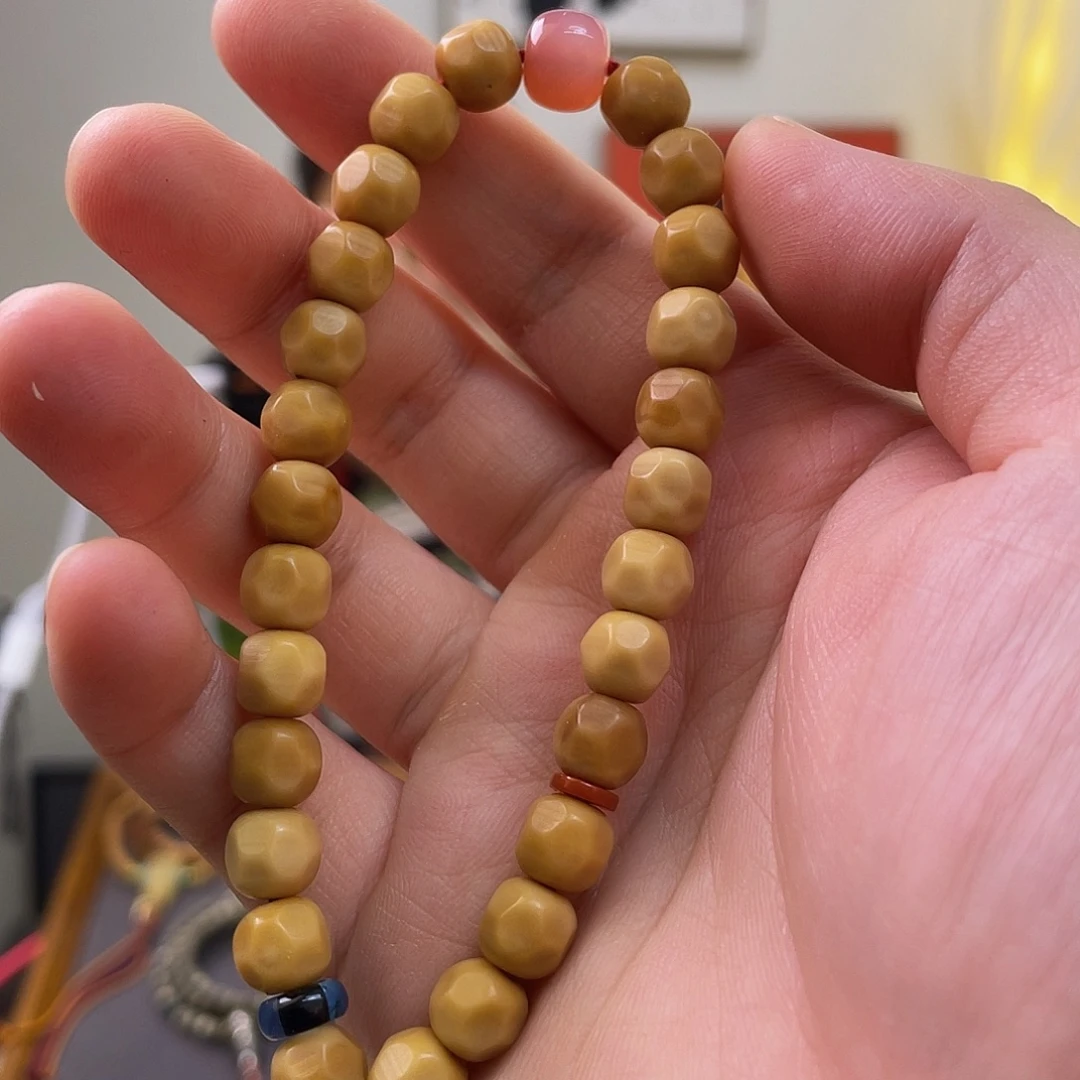 吊坠菩提根/象牙果龙脊菩提