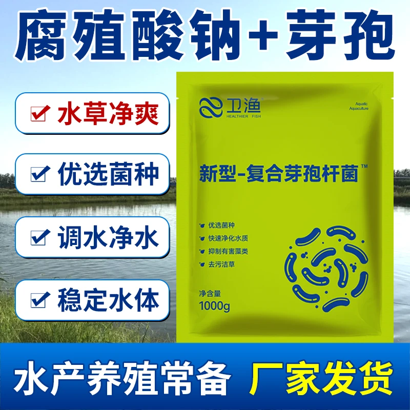 免发酵复合芽孢杆菌水产专用虾蟹塘水草挂脏处理办法枯草芽孢杆菌