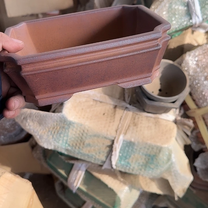 是一个不知名作家与著名导演兼电影演员们