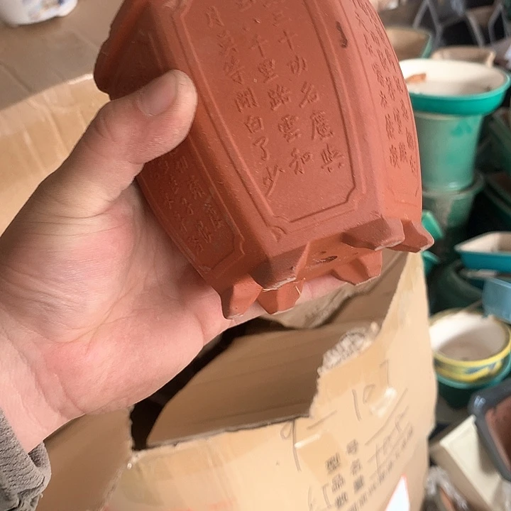 紫砂我要不就是你去