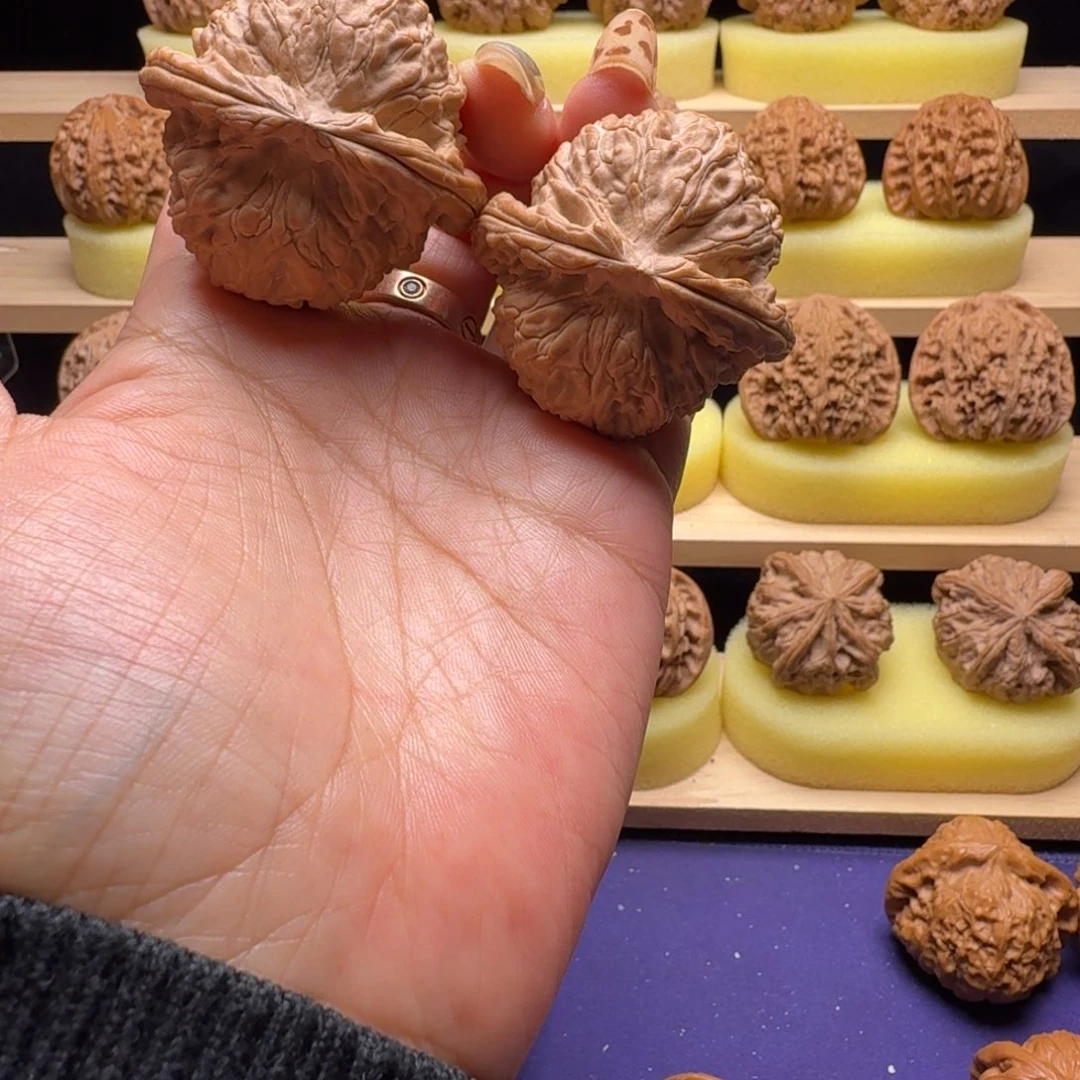 文玩核桃吊坠45尺白狮子