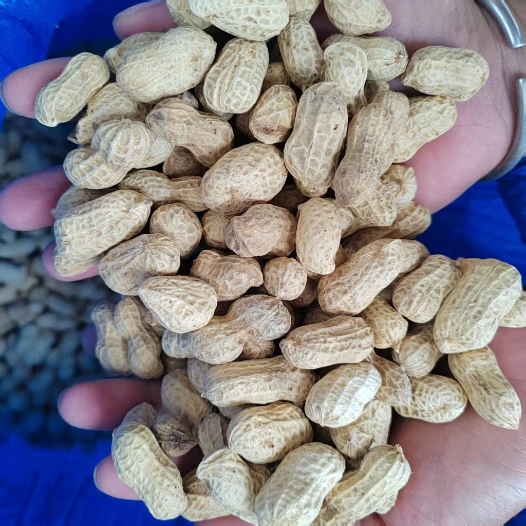 廖科长常宁农村代购助农现收现卖干花生