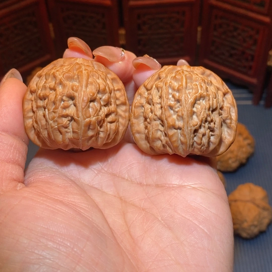 ?****武42全品白狮子精配精品