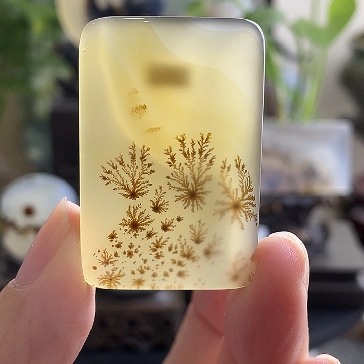 玛瑙/玉髓未镶嵌珠宝半成品