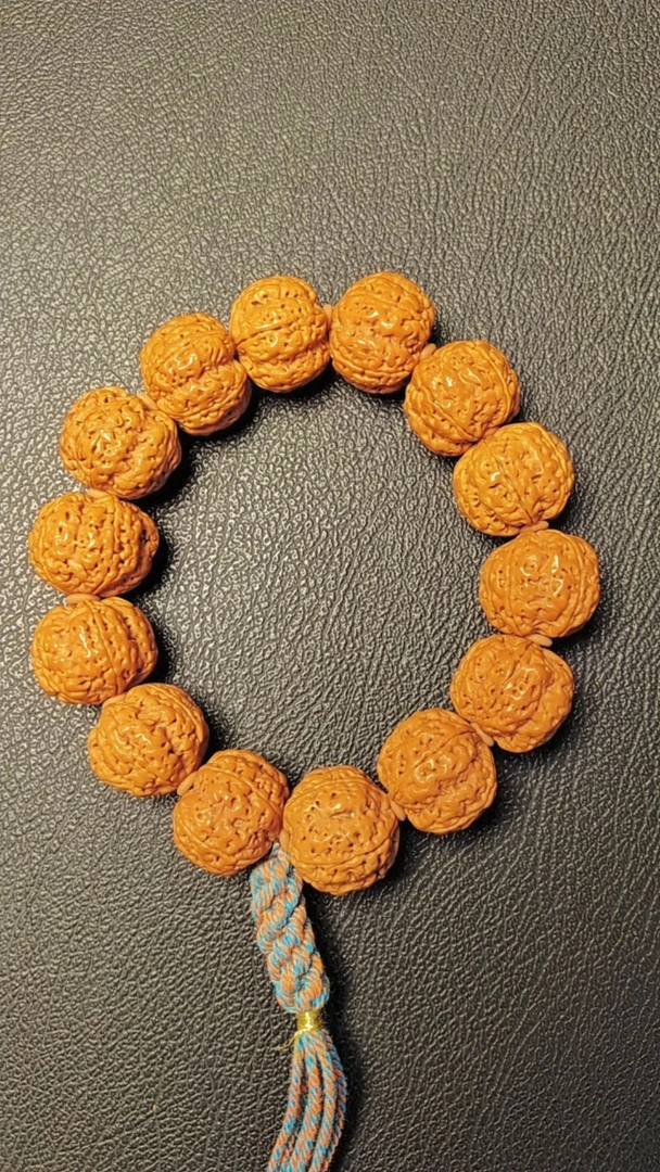 尼泊尔大金钢，爆肉蜂王