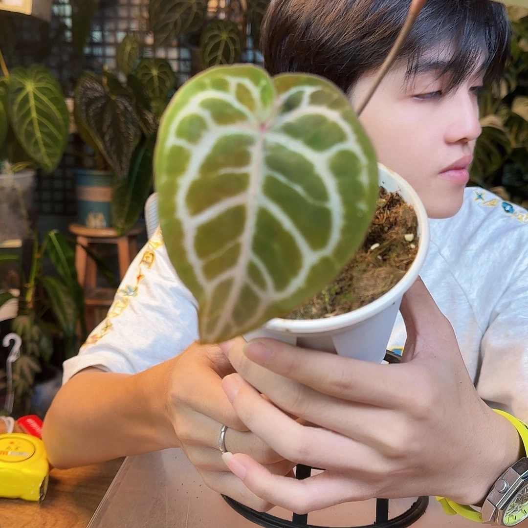 小***宇完全开放一物一拍P185