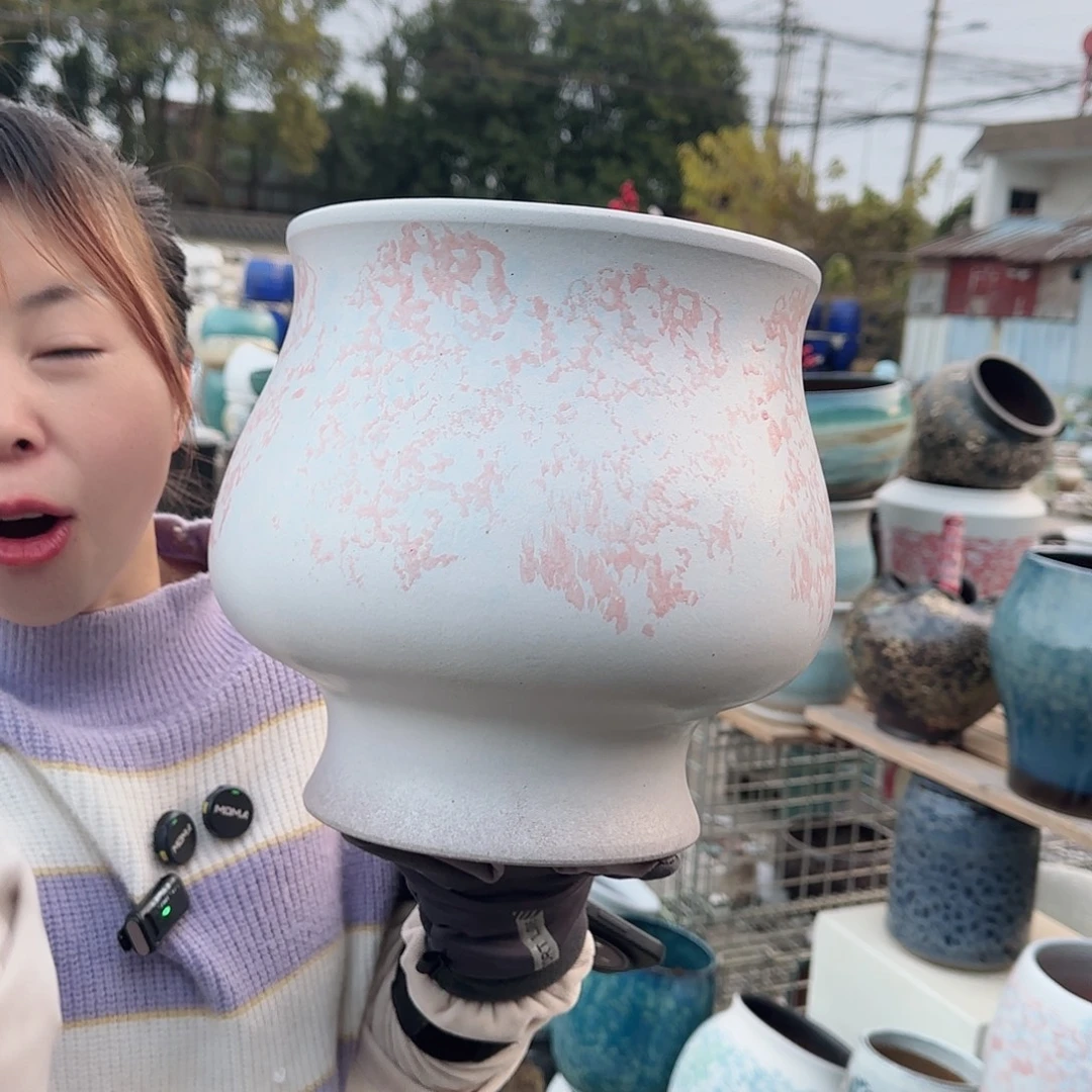 王嫂花盆1210-310高25口22