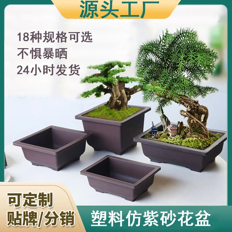 正方长方形 盆景盆小盆栽塑料花盆 簕竹花盆