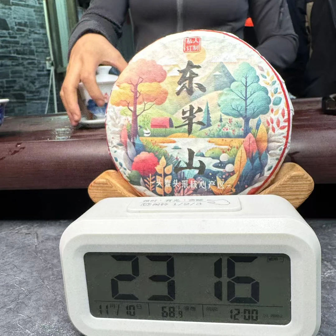 2025年 亥公【东半山】 春茶200g 普洱生茶 李忠玉 D2K2P996L1110