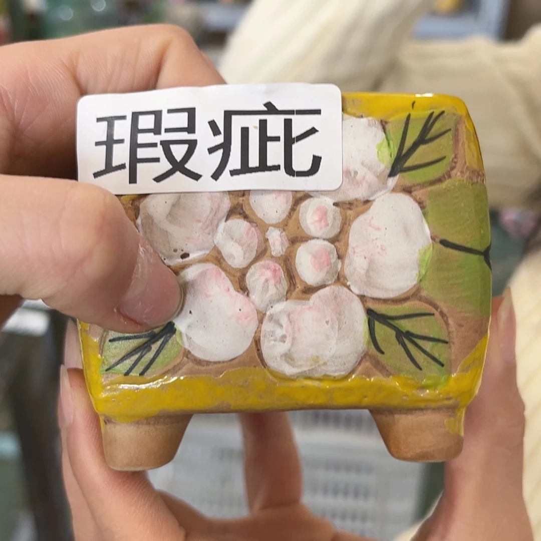 【闪购商品】红陶福利