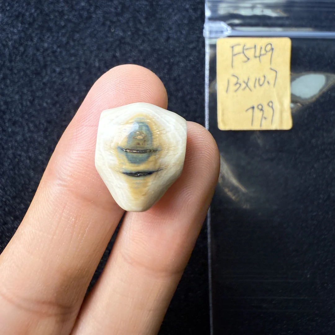 F549猛犸象牙鲨鱼背三通尺寸13*10.7mm果冻料