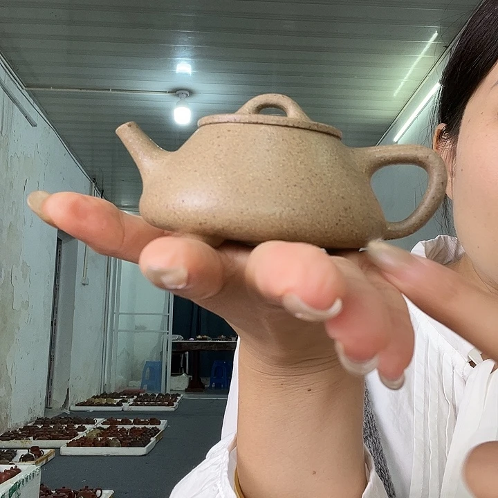 茶壶紫砂紫砂…………………………