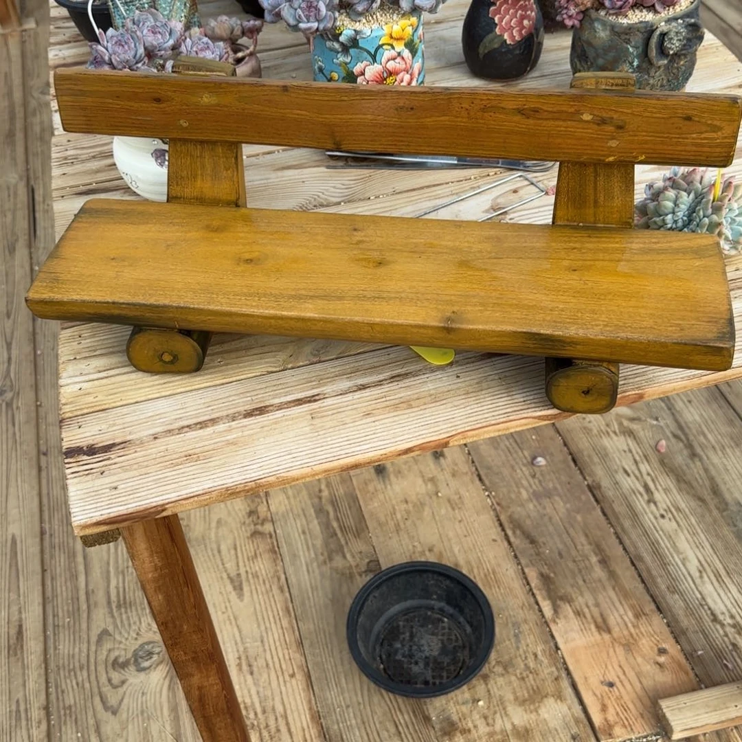 蒲***青青青板凳发货多肉