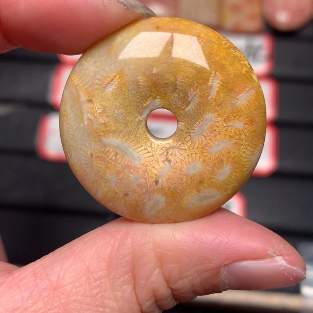 【闪购商品】硅化玉颈饰未镶嵌T***a