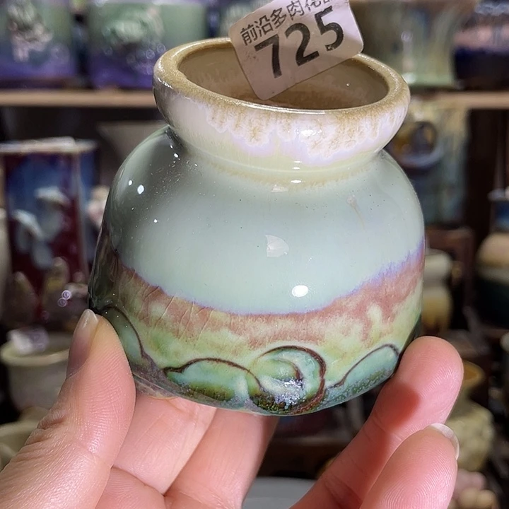 狼盆内口径4高度6