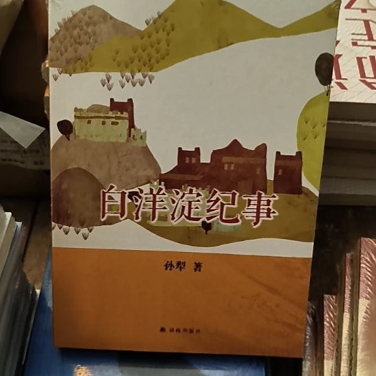 白洋淀纪事，全新塑封