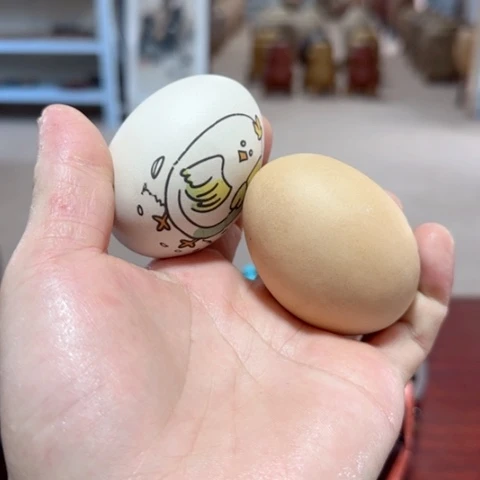 紫砂茶宠壹***?。。。。。。。。。。。