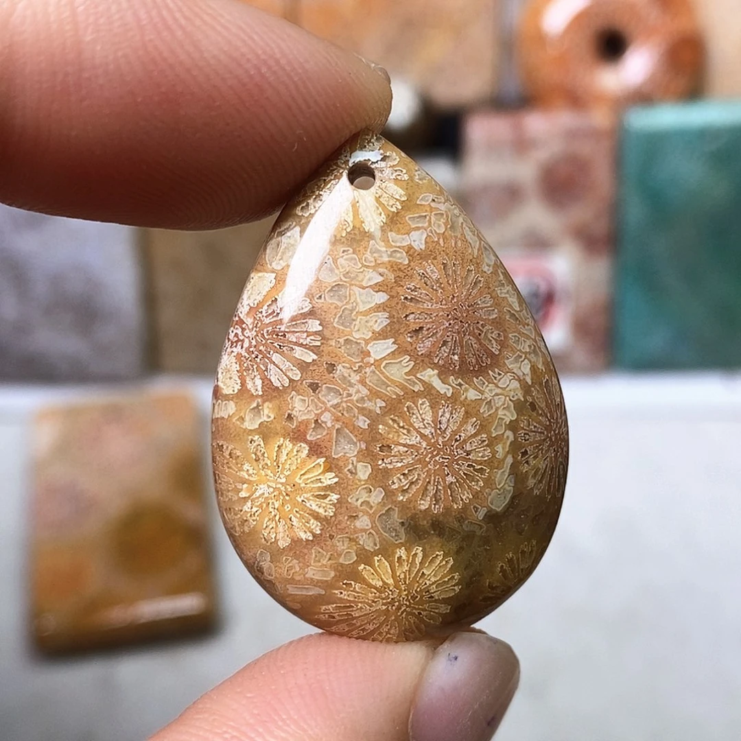硅化玉未镶嵌颈饰