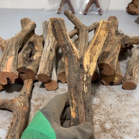 大果紫檀（缅甸花梨）真*