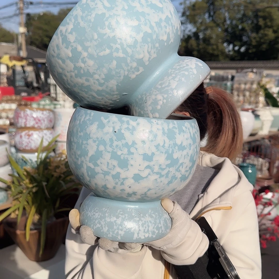 王嫂花盆直播1128-399高20口19