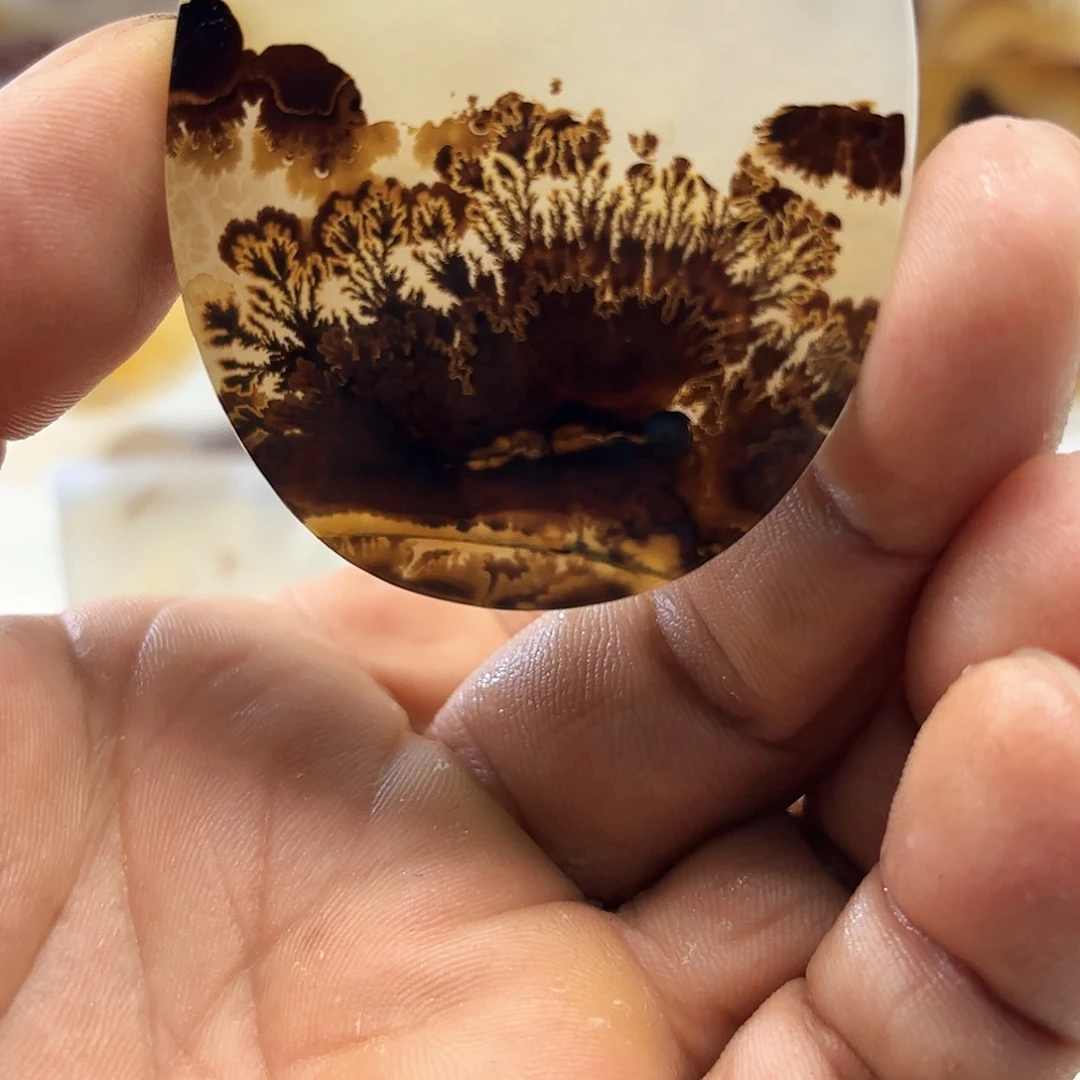 疯***头玛瑙/玉髓颈饰未镶嵌