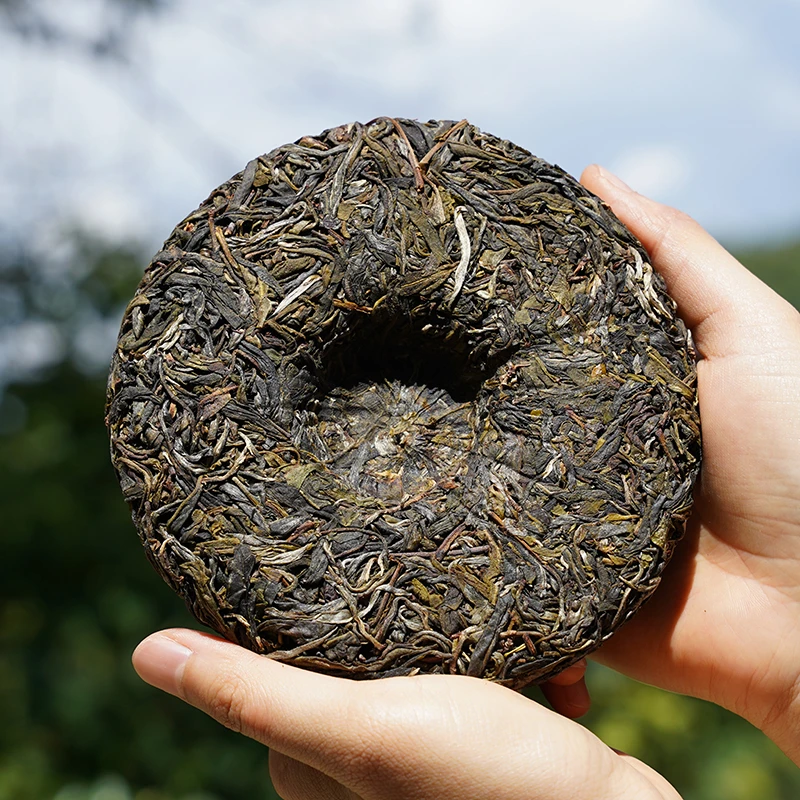 2024年 弯弓古树  秋茶 普洱茶（生茶） 100克/饼