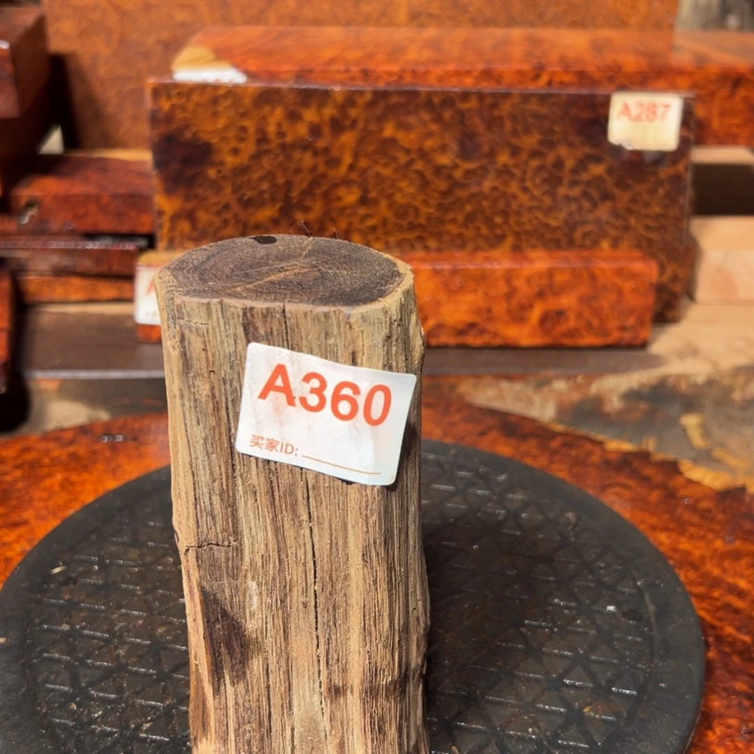 大果紫檀（缅甸花梨）