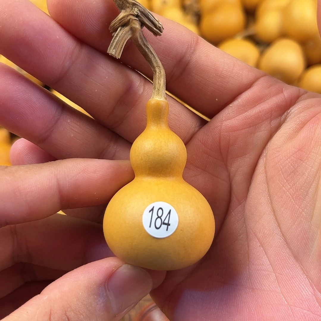 五葫芦葫芦葫芦葫芦184