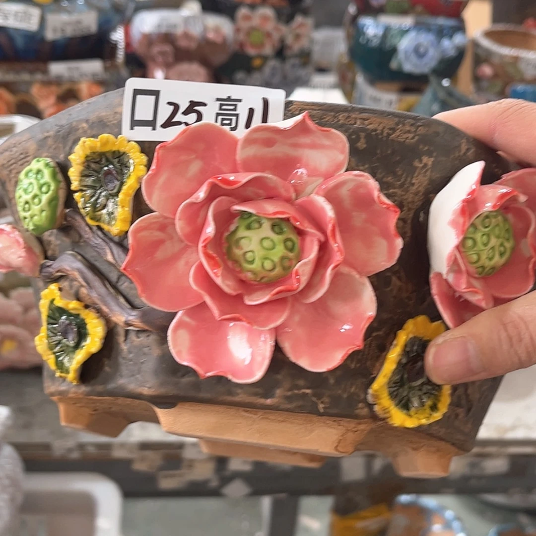 【闪购商品】红陶福利