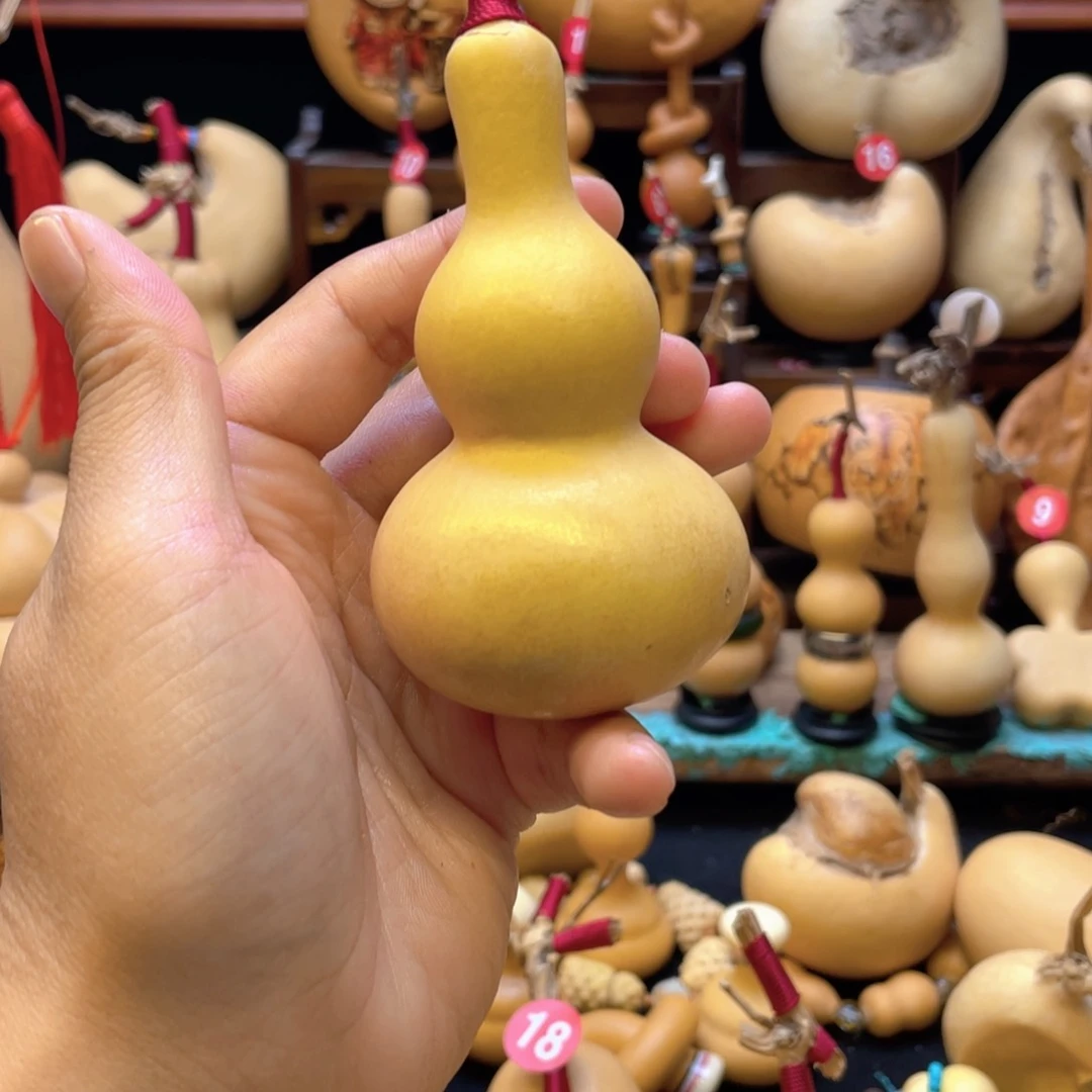 喵*大自然的秘密第十一节